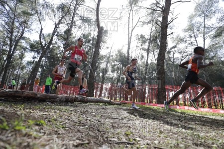 Campeonato de España de Campo a Través Individual y Federaciones (Getafe) 2024. 