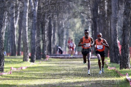 Campeonato de España de Campo a Través Individual y Federaciones (Getafe) 2024. 