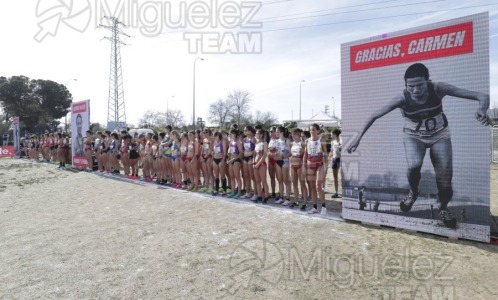 Campeonato de España de Campo a Través Individual y Federaciones (Getafe) 2024. 