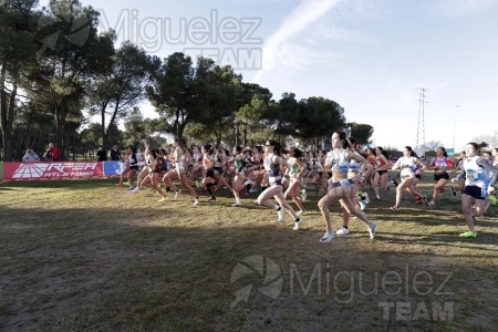 Campeonato de España de Campo a Través Individual y Federaciones (Getafe) 2024. 