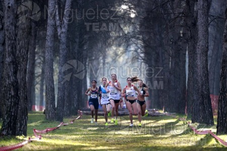 Campeonato de España de Campo a Través Individual y Federaciones (Getafe) 2024. 