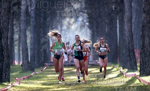 Campeonato de España de Campo a Través Individual y Federaciones (Getafe) 2024. 