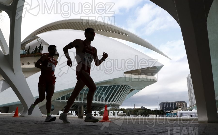 Criterium Internacional Relevos Mixto de Marcha 42,195 km y 10 Km (Valencia) 2024