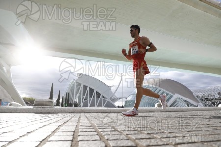 Criterium Internacional Relevos Mixto de Marcha 42,195 km y 10 Km (Valencia) 2024