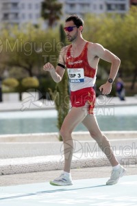 Criterium Internacional Relevos Mixto de Marcha 42,195 km y 10 Km (Valencia) 2024