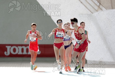 Criterium Internacional Relevos Mixto de Marcha 42,195 km y 10 Km (Valencia) 2024