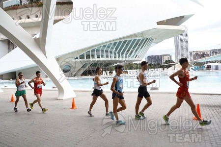 Criterium Internacional Relevos Mixto de Marcha 42,195 km y 10 Km (Valencia) 2024