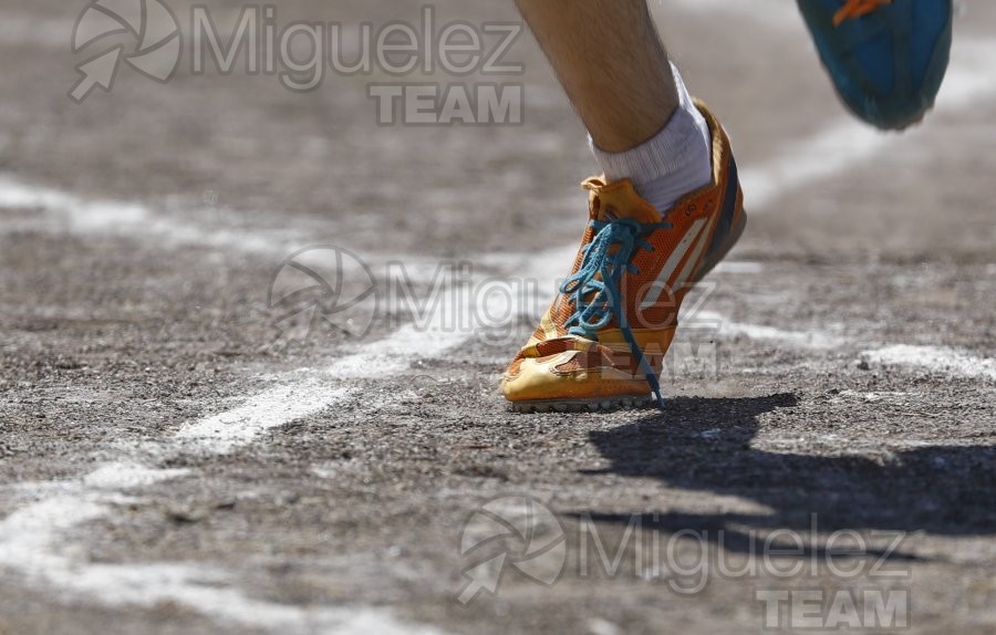 V Memorial de Atletismo Miguel de la Quadra-Salcedo (Madrid) 2024.