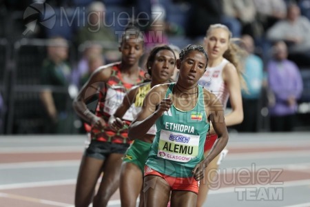 Campeonato del Mundo Absoluto indoor / Short Track (Glasgow) 03-03-2024.