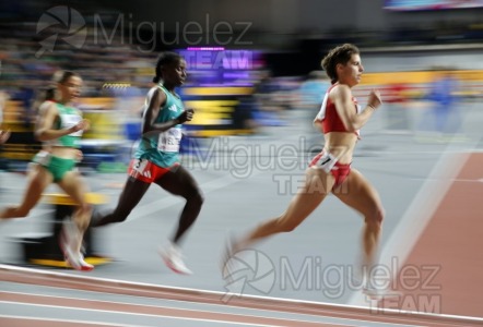 Campeonato del Mundo Absoluto indoor / Short Track (Glasgow) 03-03-2024.