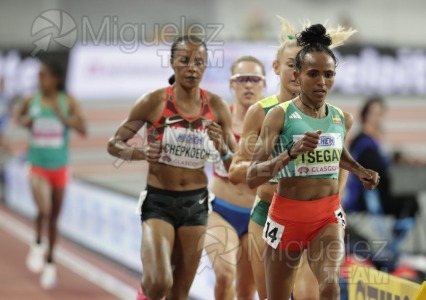 Campeonato del Mundo Absoluto indoor / Short Track (Glasgow) 03-03-2024.