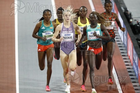 Campeonato del Mundo Absoluto indoor / Short Track (Glasgow) 03-03-2024.