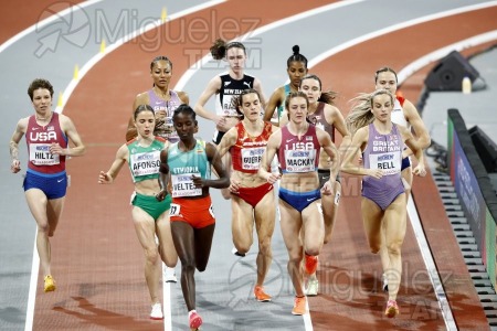 Campeonato del Mundo Absoluto indoor / Short Track (Glasgow) 03-03-2024.