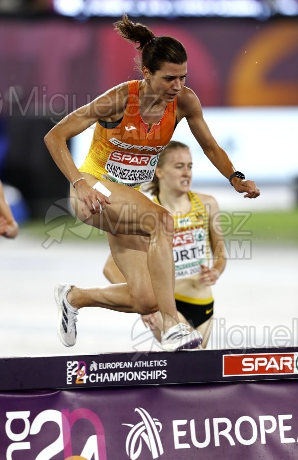 Campeonato de Europa de atletismo Absoluto al Aire Libre (Roma) 2024.