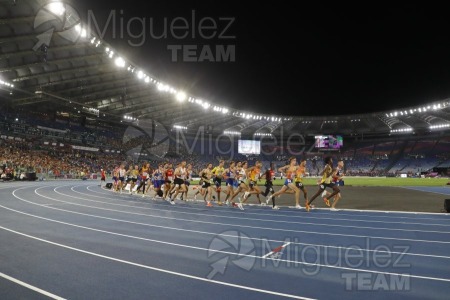 Campeonato de Europa de atletismo Absoluto al Aire Libre (Roma) 2024.