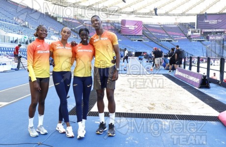 Campeonato de Europa de atletismo Absoluto al Aire Libre (Roma) 2024.