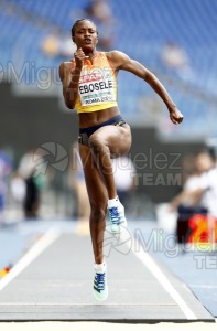 Campeonato de Europa de atletismo Absoluto al Aire Libre (Roma) 2024.