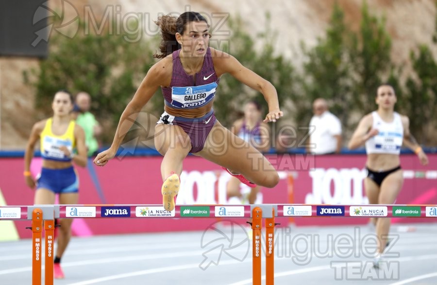 Campeonato de España Absoluto Aire Libre (La Nucia) 2024. 