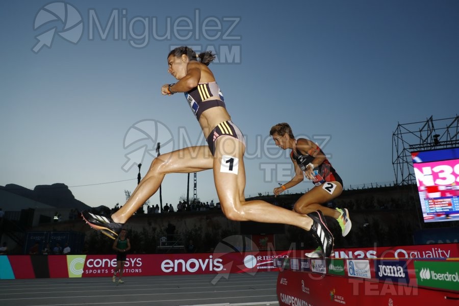 Campeonato de España Absoluto Aire Libre (La Nucia) 2024. 