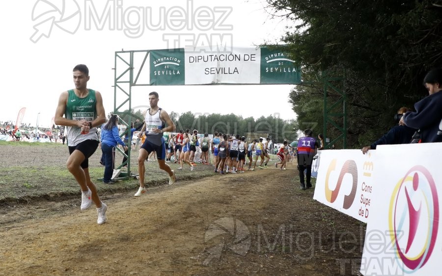 Campeonato de España de Campo a Través por Clubes (Santiponce) 2024