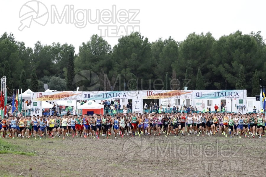 Campeonato de España de Campo a Través por Clubes (Santiponce) 2024