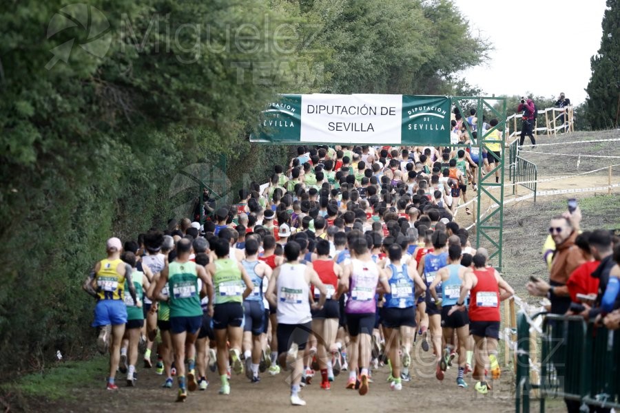 Campeonato de España de Campo a Través por Clubes (Santiponce) 2024