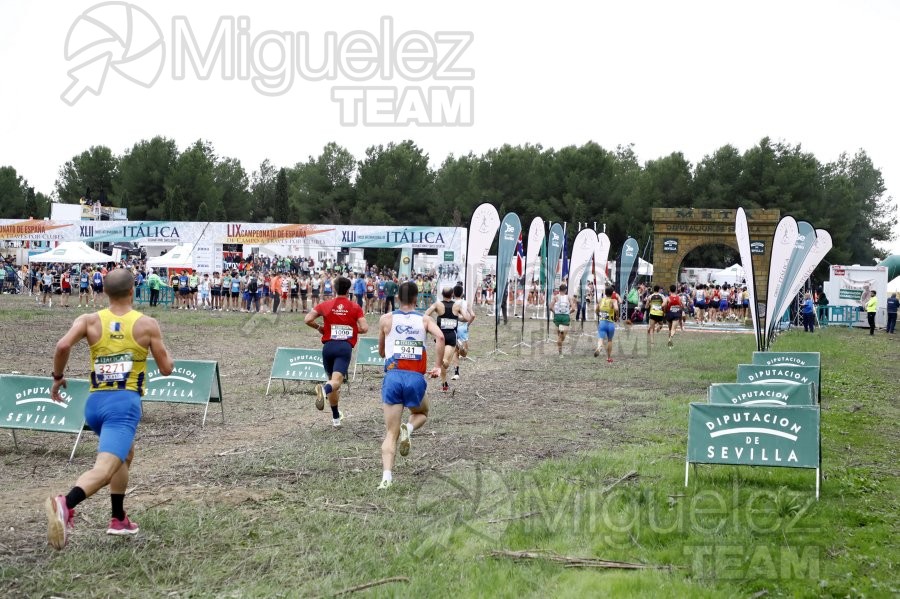 Campeonato de España de Campo a Través por Clubes (Santiponce) 2024