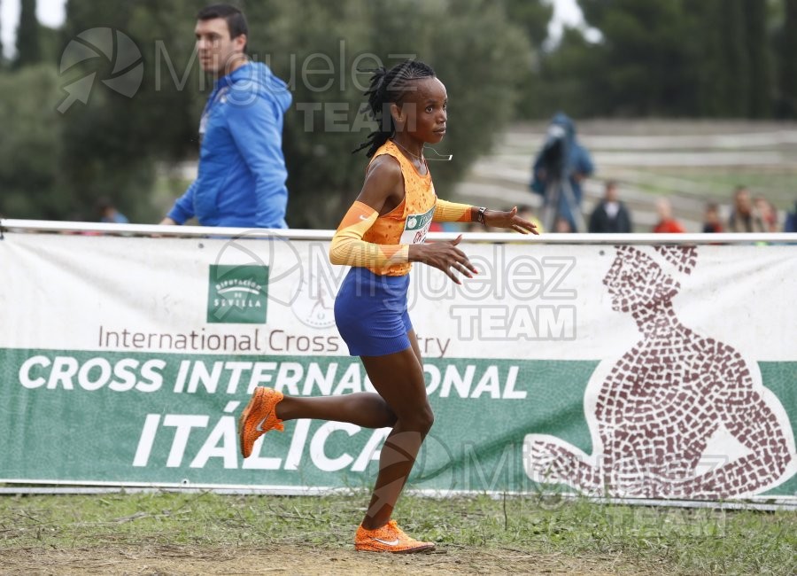 Campeonato de España de Campo a Través por Clubes (Santiponce) 2024