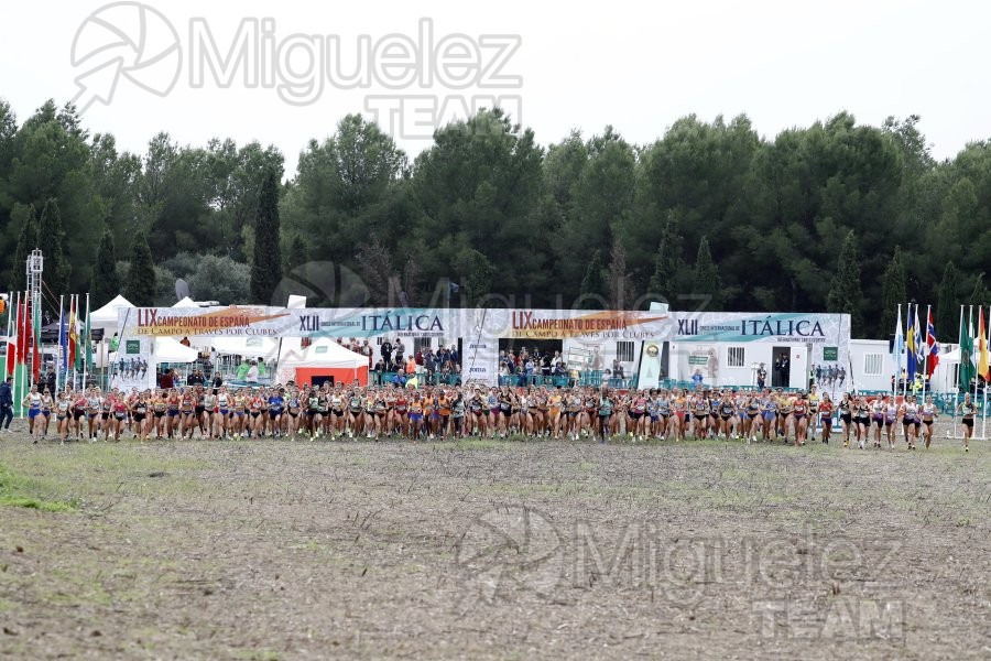 Campeonato de España de Campo a Través por Clubes (Santiponce) 2024