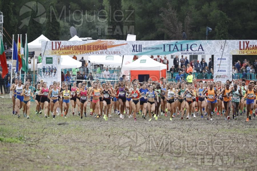 Campeonato de España de Campo a Través por Clubes (Santiponce) 2024