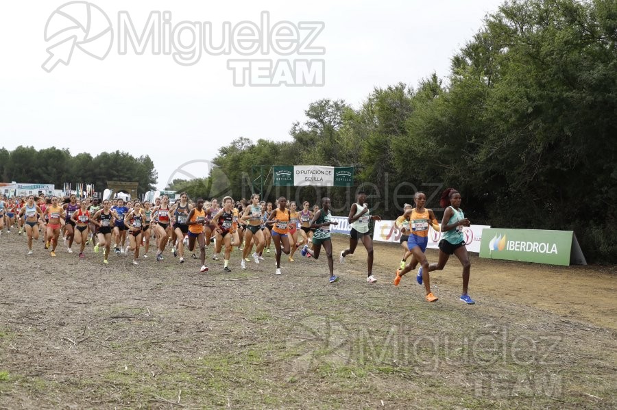 Campeonato de España de Campo a Través por Clubes (Santiponce) 2024