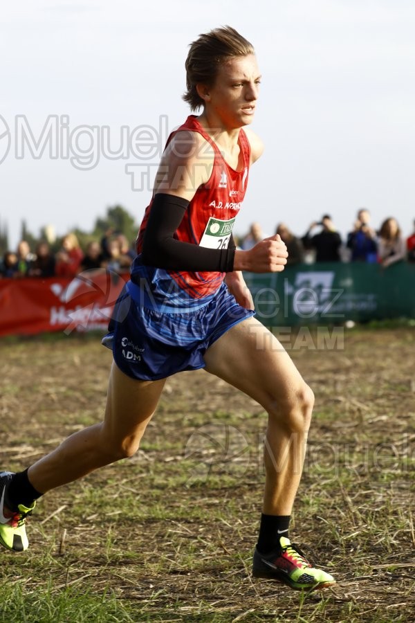 Campeonato de España de Campo a Través por Clubes (Santiponce) 2024