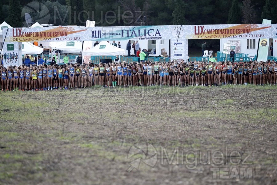 Campeonato de España de Campo a Través por Clubes (Santiponce) 2024