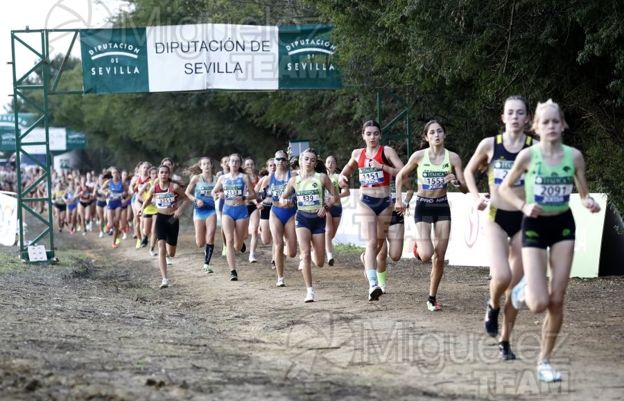 Campeonato de España de Campo a Través por Clubes (Santiponce) 2024