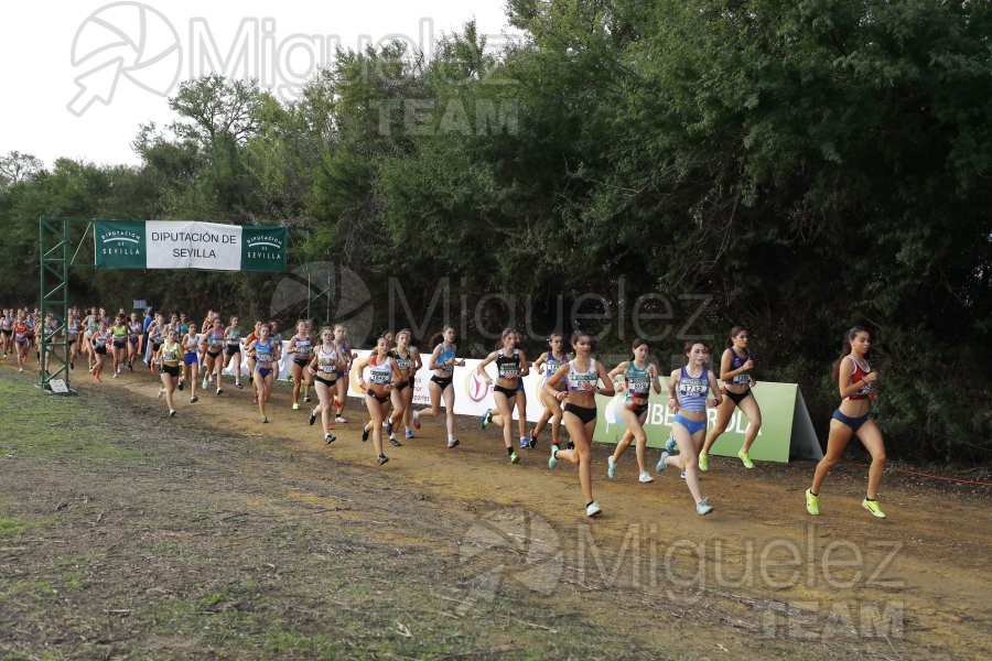 Campeonato de España de Campo a Través por Clubes (Santiponce) 2024