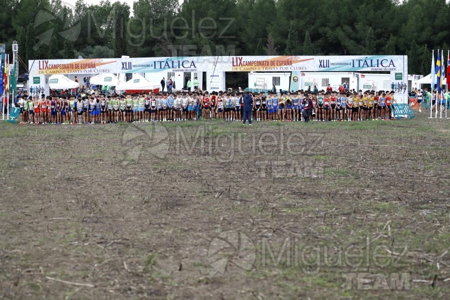 Campeonato de España de Campo a Través por Clubes (Santiponce) 2024