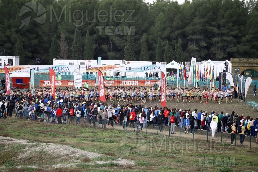 Campeonato de España de Campo a Través por Clubes (Santiponce) 2024