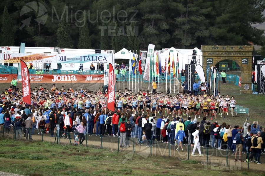 Campeonato de España de Campo a Través por Clubes (Santiponce) 2024