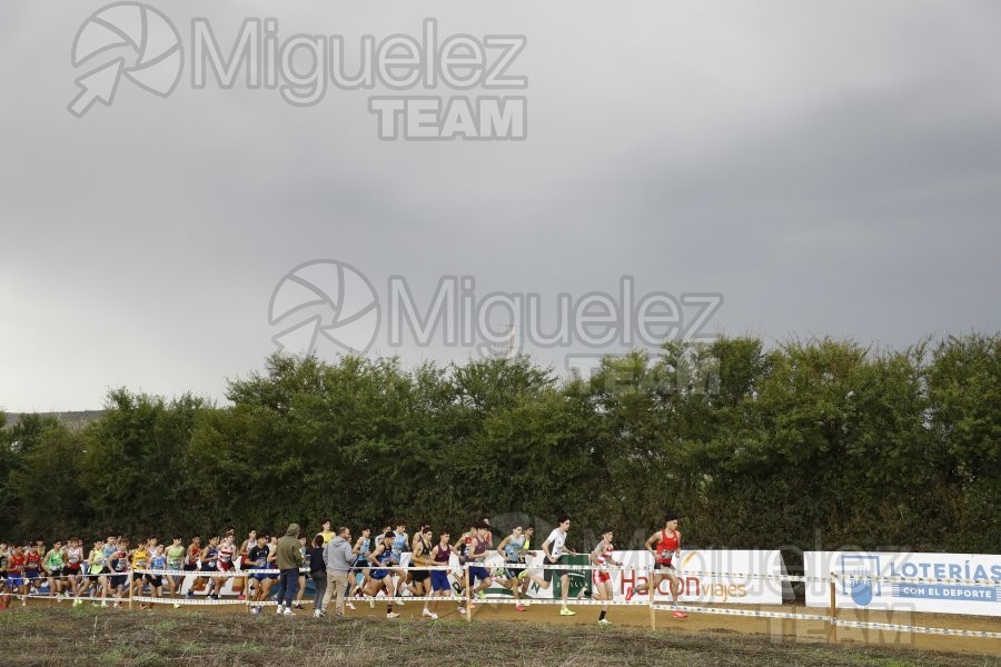 Campeonato de España de Campo a Través por Clubes (Santiponce) 2024