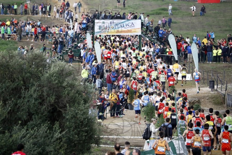 Campeonato de España de Campo a Través por Clubes (Santiponce) 2024