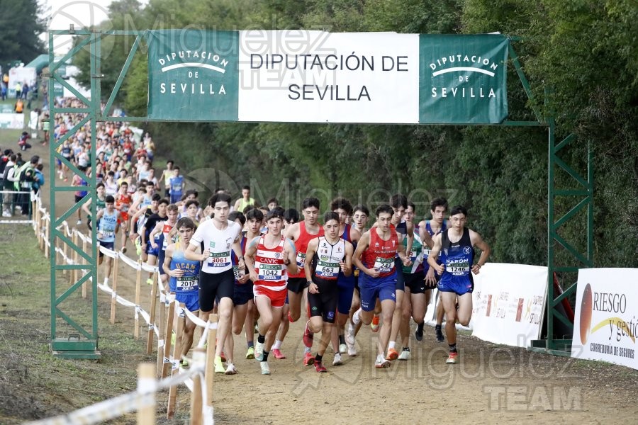 Campeonato de España de Campo a Través por Clubes (Santiponce) 2024