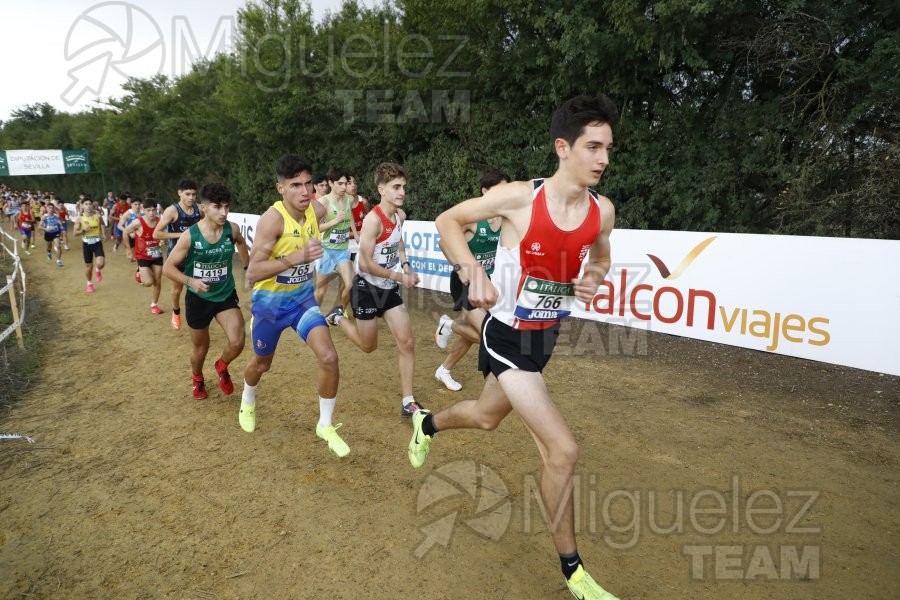 Campeonato de España de Campo a Través por Clubes (Santiponce) 2024