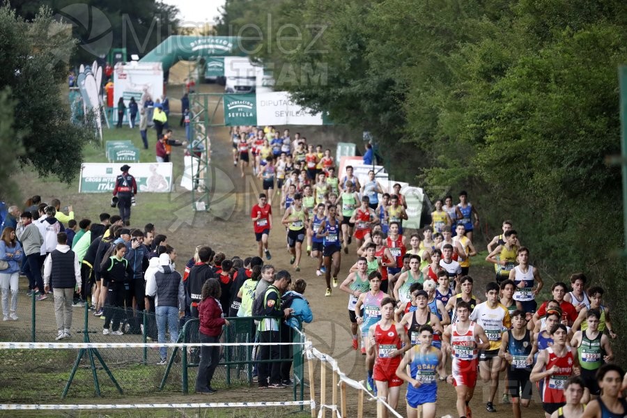 Campeonato de España de Campo a Través por Clubes (Santiponce) 2024