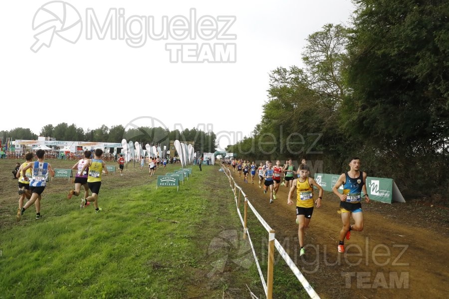 Campeonato de España de Campo a Través por Clubes (Santiponce) 2024