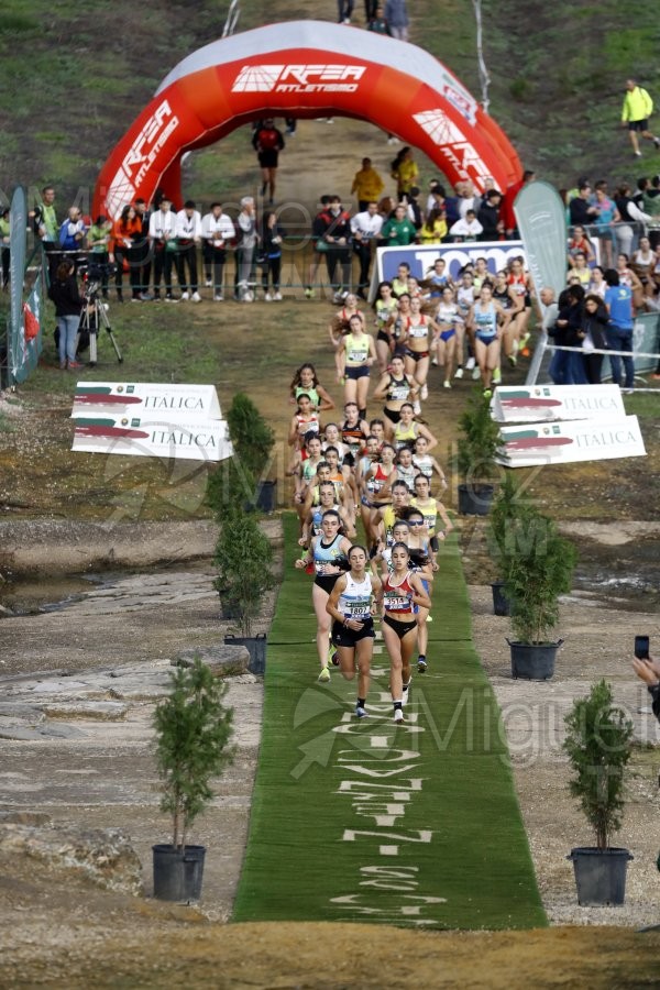 Campeonato de España de Campo a Través por Clubes (Santiponce) 2024