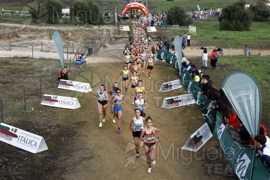 Campeonato de España de Campo a Través por Clubes (Santiponce) 2024