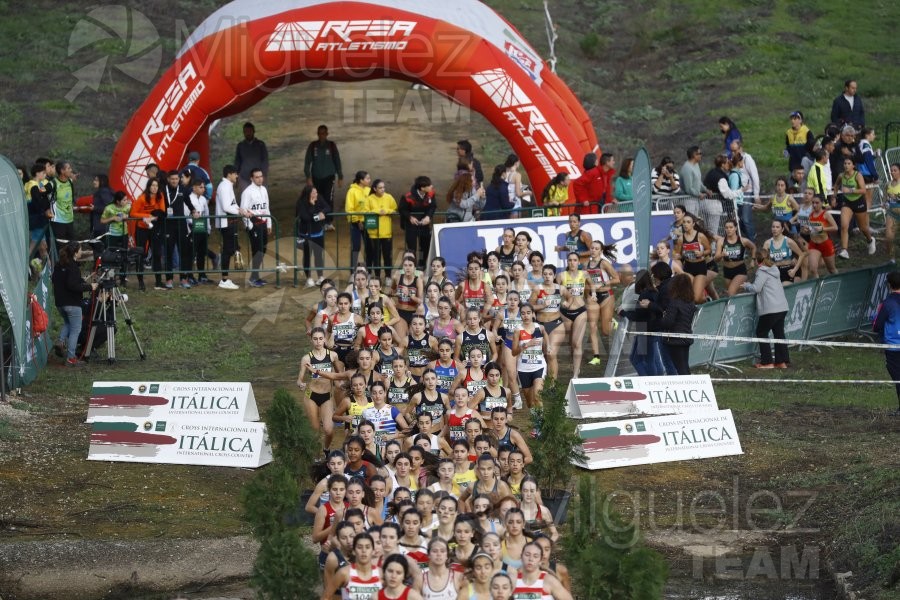 Campeonato de España de Campo a Través por Clubes (Santiponce) 2024