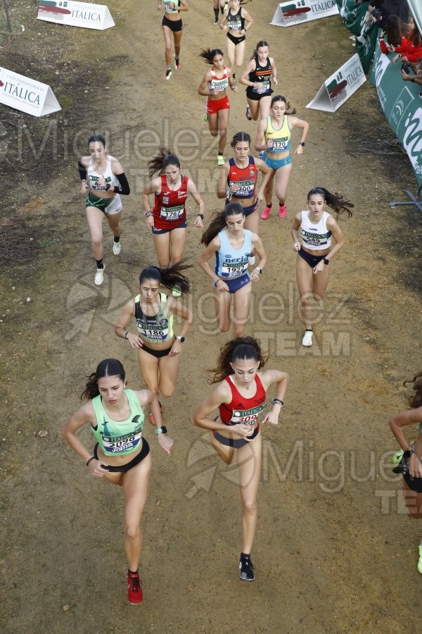 Campeonato de España de Campo a Través por Clubes (Santiponce) 2024