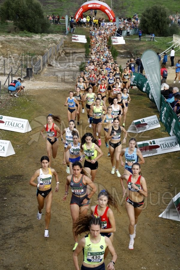 Campeonato de España de Campo a Través por Clubes (Santiponce) 2024