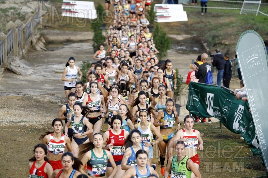 Campeonato de España de Campo a Través por Clubes (Santiponce) 2024